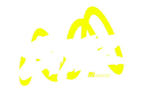 stylz_logo_1155271652